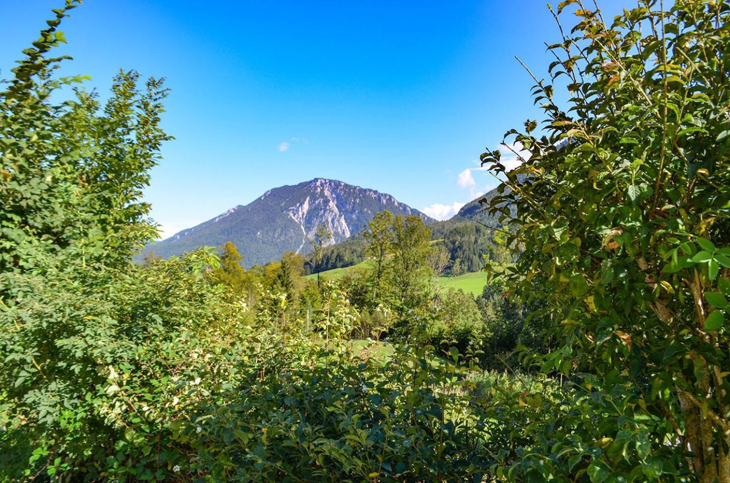 Almbauernhof Apartment Ruhpolding Ngoại thất bức ảnh