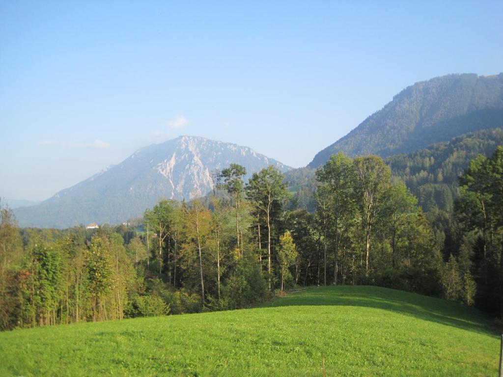 Almbauernhof Apartment Ruhpolding Ngoại thất bức ảnh